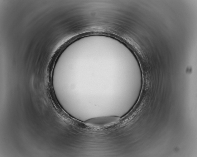 X0000099441070200805301446