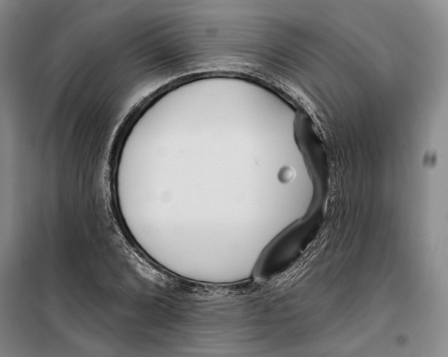 X0000099441072200805301446