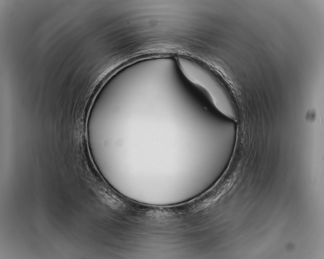 X0000099441073200805301446