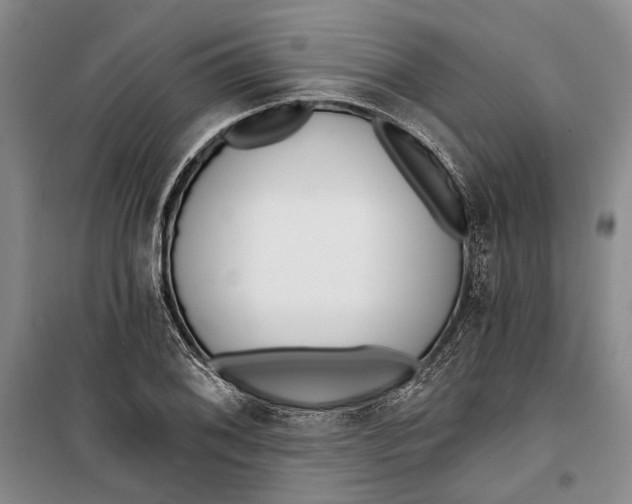 X0000099441076200805301446