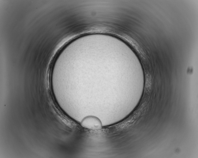 X0000099441078200805301446