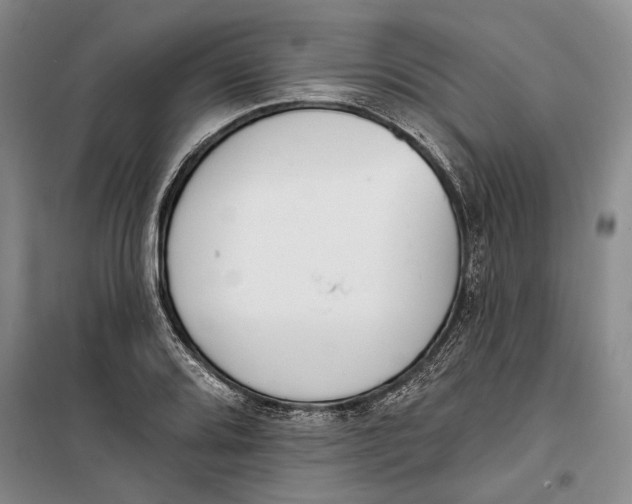 X0000099441080200805301446