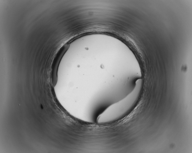 X0000099441081200805301446