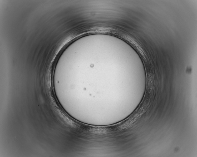 X0000099441083200805301446