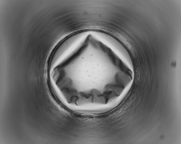 X0000099441084200805301446