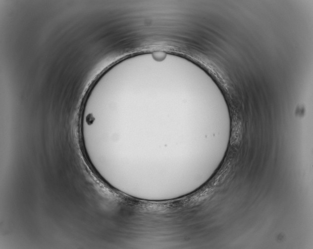 X0000099441086200805301446