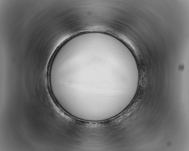 X0000099441087200805301446