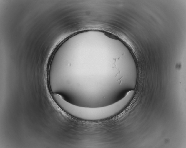 X0000099441088200805301446