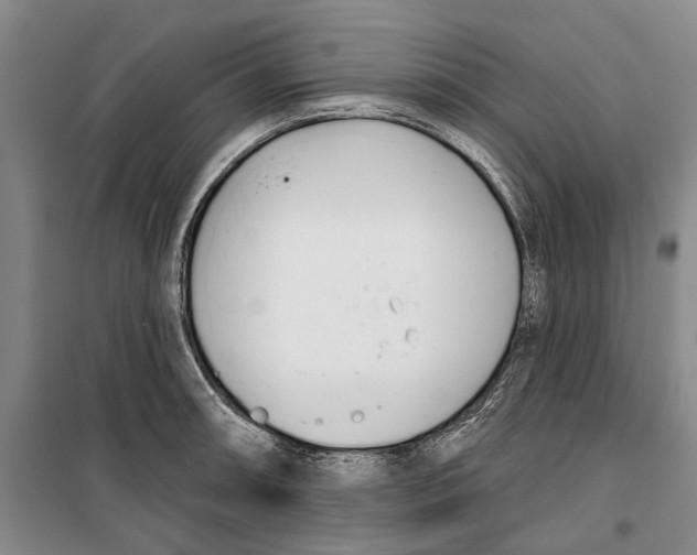 X0000099441090200805301446
