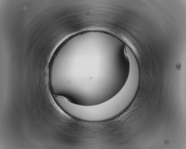 X0000099441092200805301446