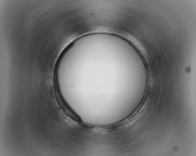 X0000099441097200805301445