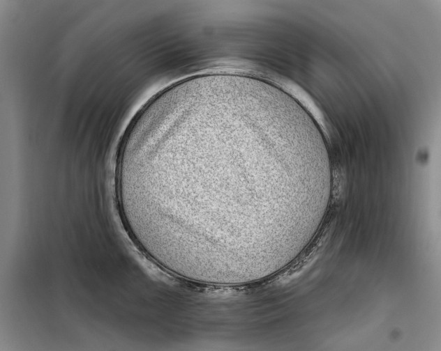 X0000099441099200805301445