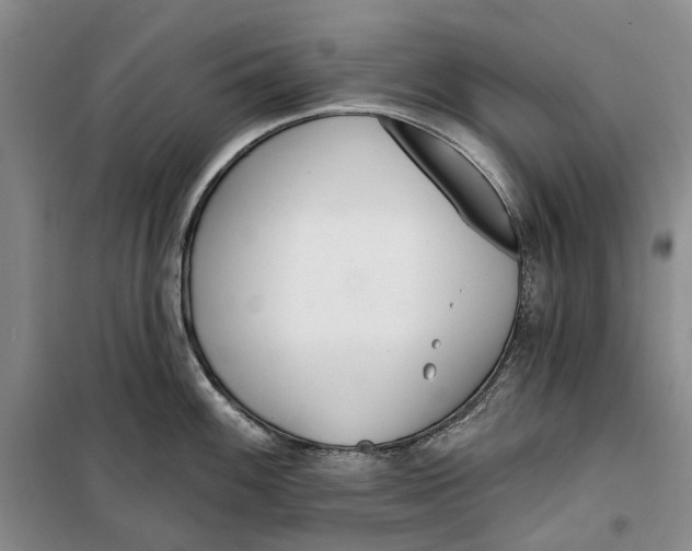 X0000099441100200805301445