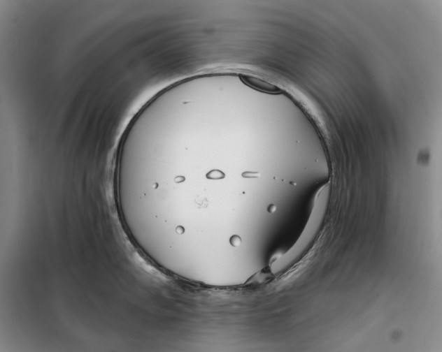 X0000099441102200805301445