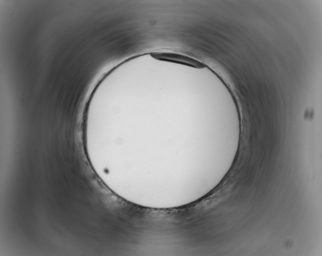 X0000099441104200805301445
