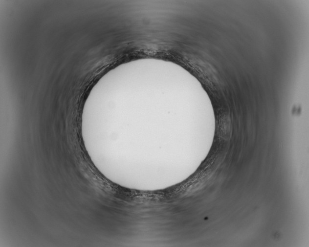 X0000099441105200805301445