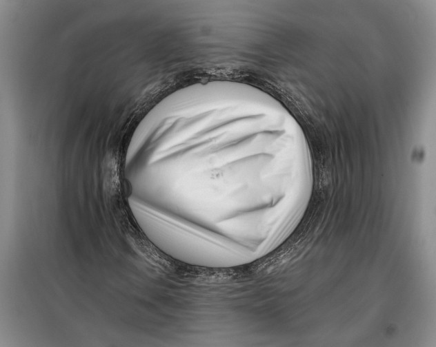 X0000099441106200805301445