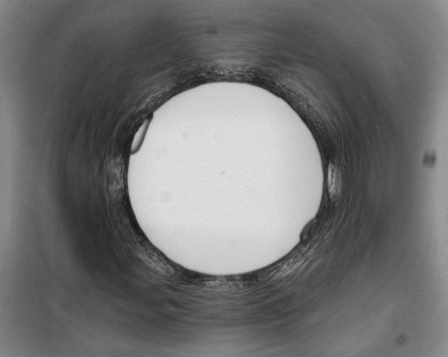 X0000099441107200805301445
