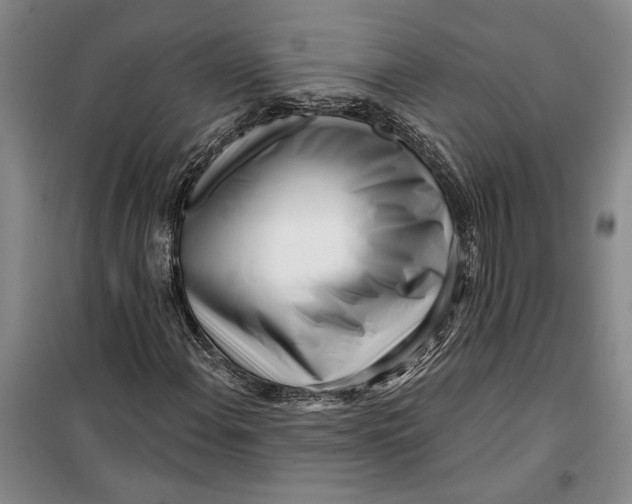 X0000099441108200805301445