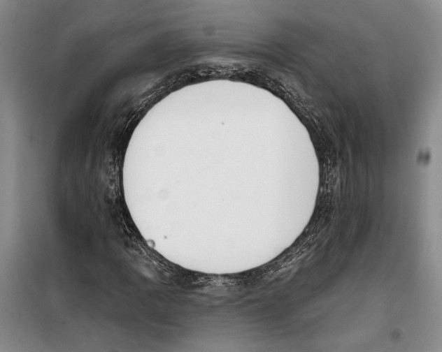 X0000099441109200805301445