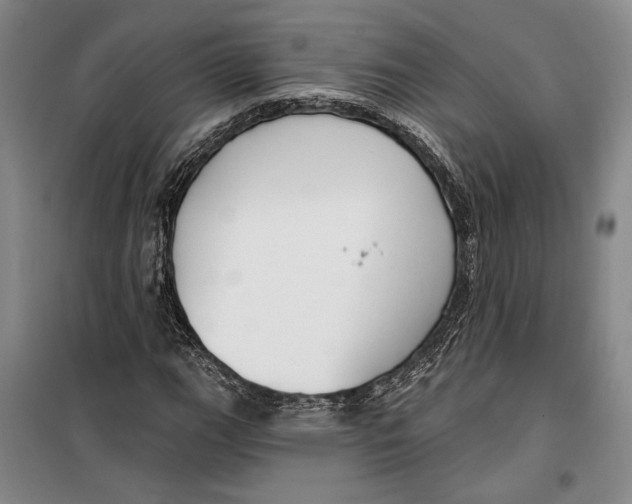 X0000099441111200805301445