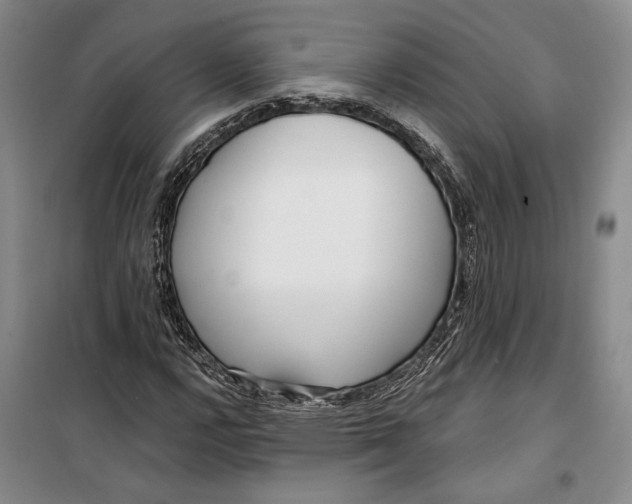 X0000099441112200805301445
