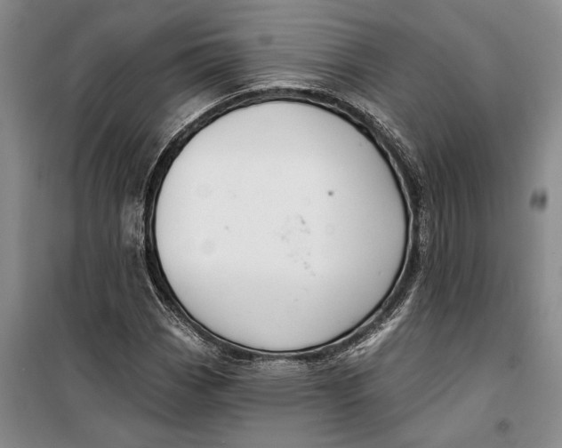 X0000099441113200805301445