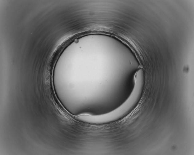 X0000099441115200805301445