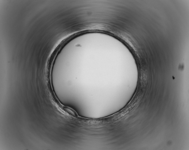 X0000099441116200805301445