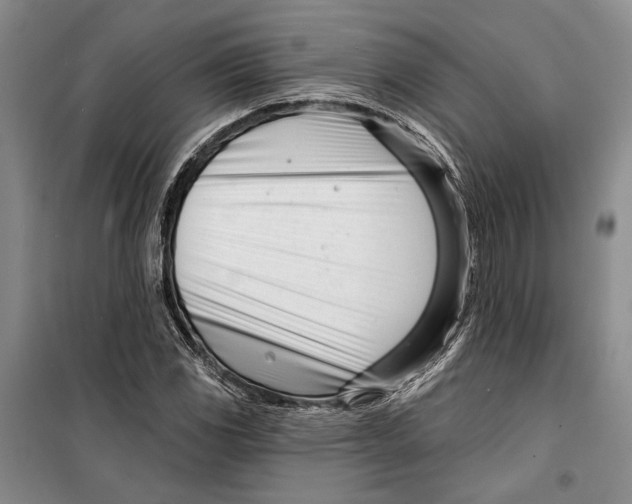 X0000099441117200805301445