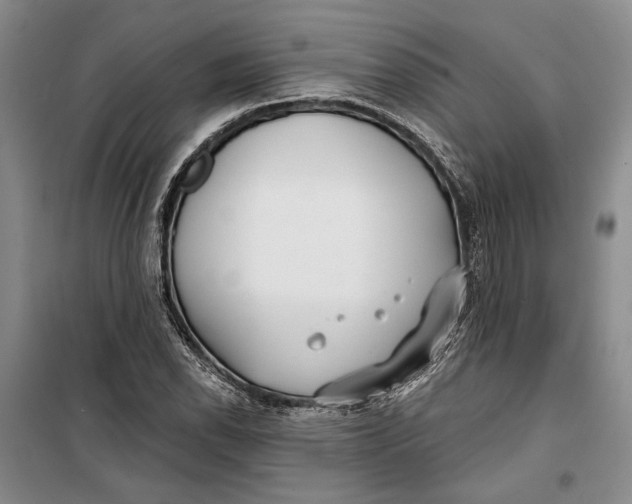 X0000099441118200805301445