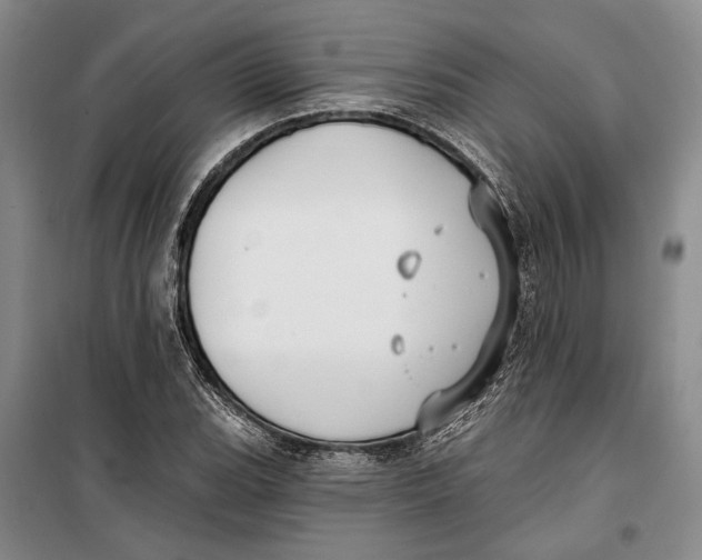 X0000099441119200805301445