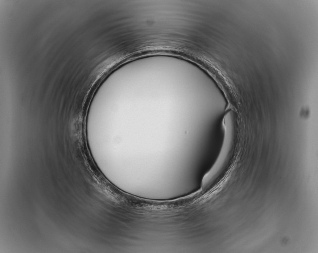X0000099441121200805301445