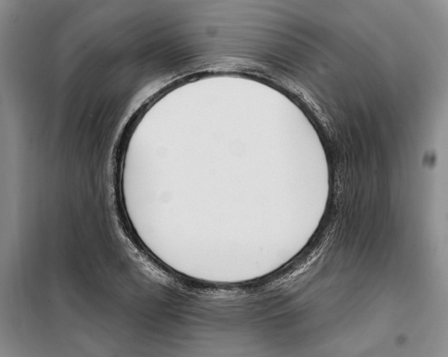 X0000099441122200805301445