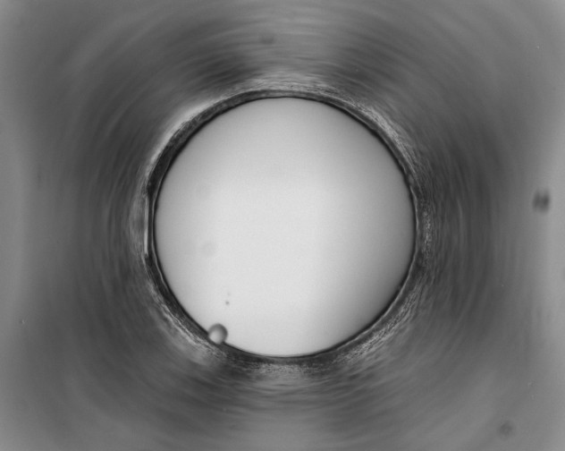 X0000099441123200805301445