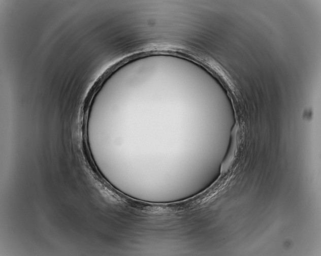 X0000099441124200805301445