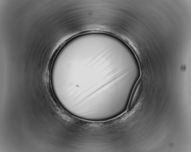 X0000099441125200805301445