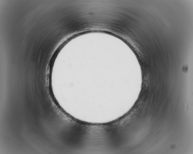X0000099441126200805301445