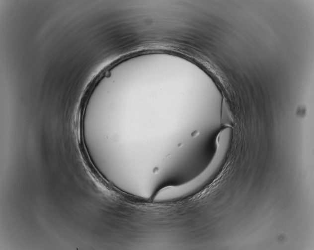 X0000099441127200805301445