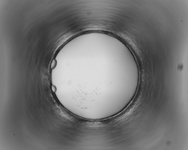 X0000099441129200805301445