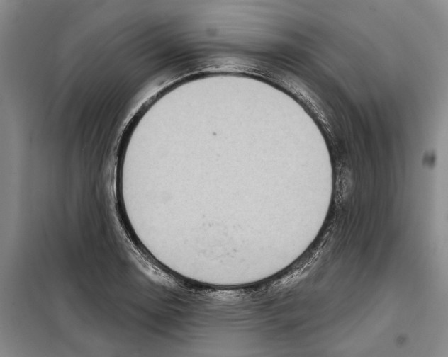 X0000099441130200805301445