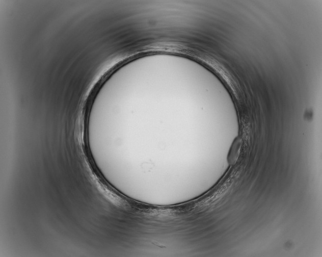 X0000099441131200805301445