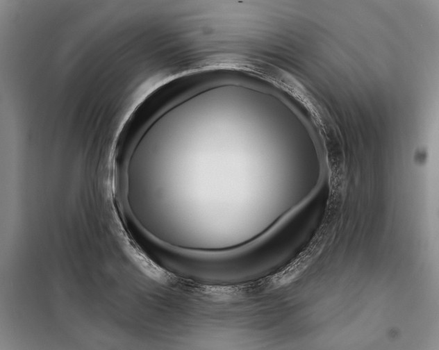 X0000099441132200805301445