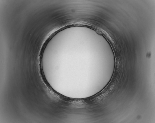 X0000099441133200805301445
