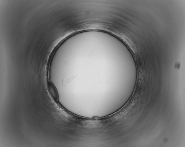 X0000099441134200805301445