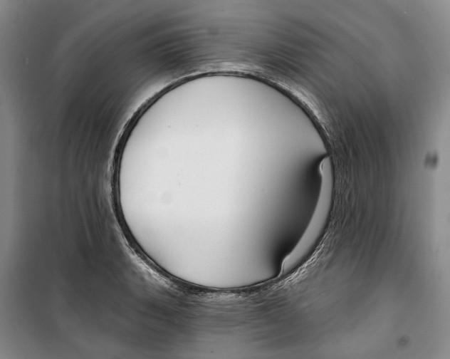 X0000099441135200805301445