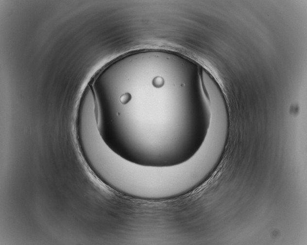 X0000099441136200805301445