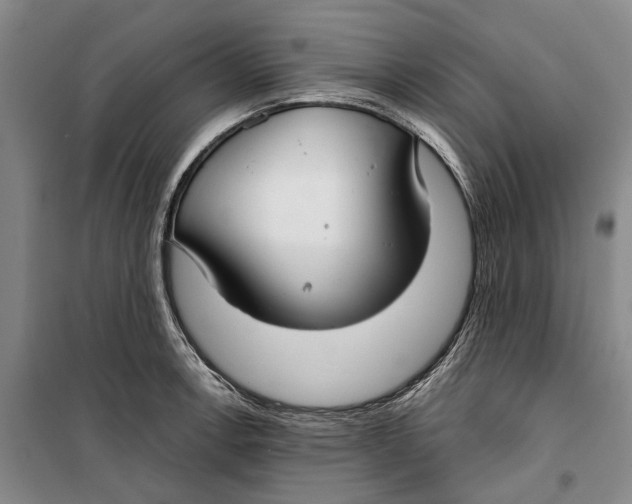 X0000099441138200805301445