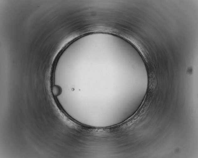 X0000099441139200805301445
