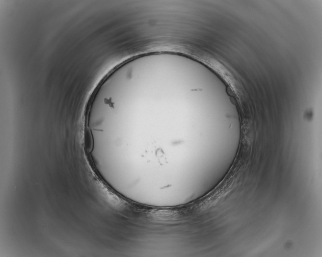 X0000099441140200805301445